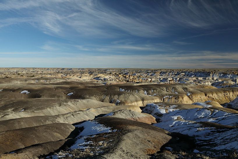 Zone de nature sauvage de De-na-zin, badlands de Bisti, Nouveau Mexique USA par Frank Fichtmüller