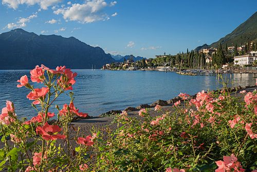 Malcesine promenade langs het meer met rozen in bloei