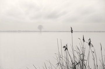 Melancholie van Arjen Roos