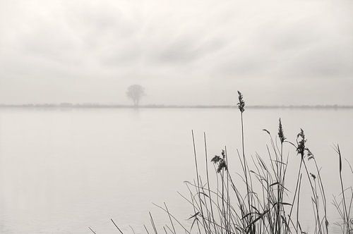Melancholie