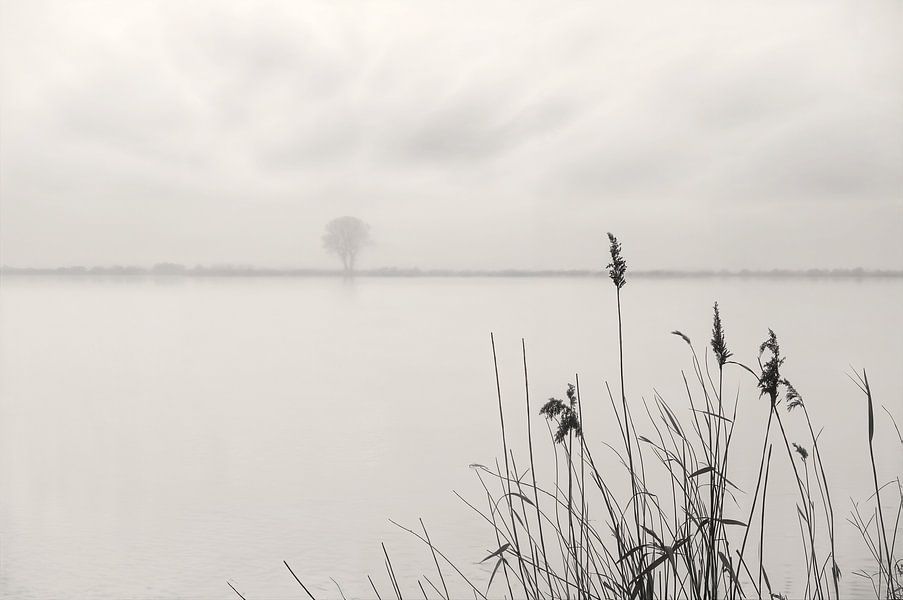 Melancholy