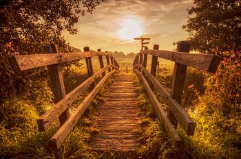 Sonnenaufgang bei Mechelen
