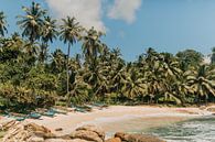 Idyllischer, tropischer und menschenleerer Strand in Arugam Bay, Sri Lanka, Südasien. von Art Shop West Miniaturansicht