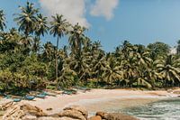 Idyllic, tropical and deserted beach in Arugam Bay, Sri Lanka, South Asia.