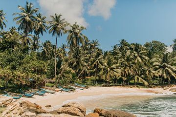 Idyllischer, tropischer und menschenleerer Strand in Arugam Bay, Sri Lanka, Südasien. von Art Shop West