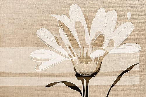 Botanische Collage Kunst: Margriet op linnenstructuur