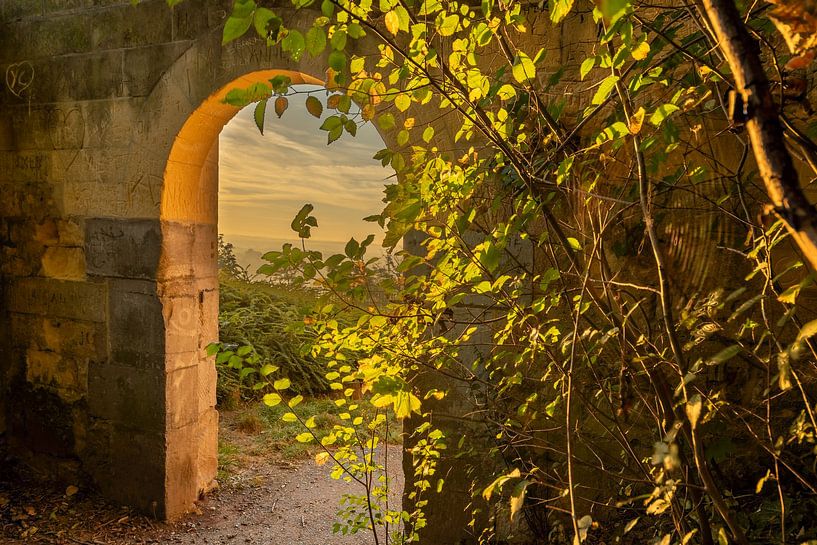 Sunrise during the golden hour over the Maas valley shrouded in mist. by Kim Willems
