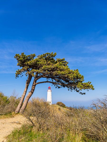 De vuurtoren van Dornbusch op het eiland Hiddensee van Rico Ködder