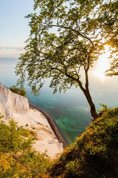 Møns Klint op het eiland Møn in Denemarken van Werner Dieterich