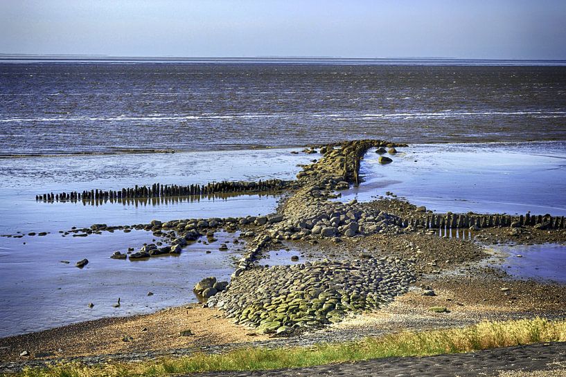 Roptazijl van Sidney Portier