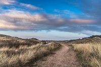 Landscape photo of the dunes in Den Helder