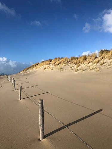 Het strand van Ouddorp