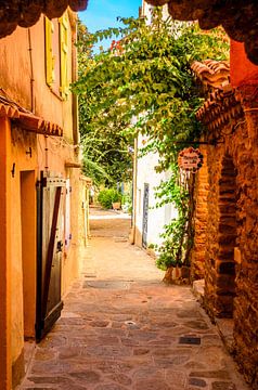 Bormes Les Mimosas, Provence, Frankrijk van 7Horses Photography