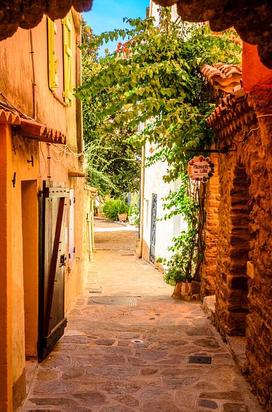 Bormes Les Mimosas, Provence, France par 7Horses Photography