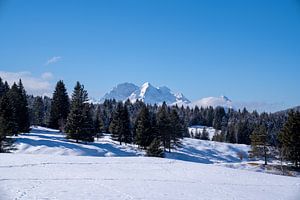 Verschneite Buckelwiesen bei Mittenwald, eingebettet in die winterliche Bergwelt der Alpen.