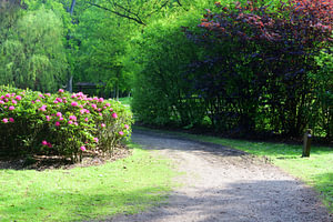 Im Garten von Staverden