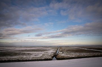 Winter landscape salt marshes Groningen