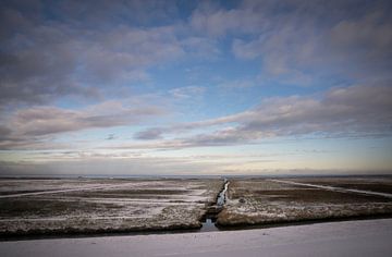 Winterlandschaft Salzwiesen Groningen