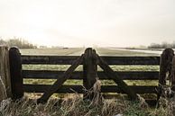 Boeren hekwerk en een polderlandschap in de winter in Nederland van Leoniek van der Vliet thumbnail