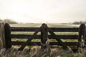 Les clôtures des agriculteurs et un paysage de polders en hiver aux Pays-Bas