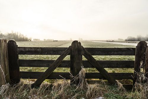 Boeren hekwerk en een polderlandschap in de winter in Nederland