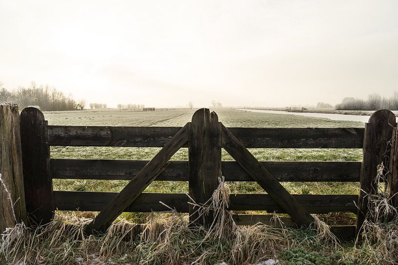 Boeren hekwerk en een polderlandschap in de winter in Nederland van Leoniek van der Vliet