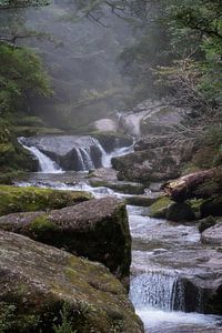 Ein Fluss durch die Wälder von Yakushima