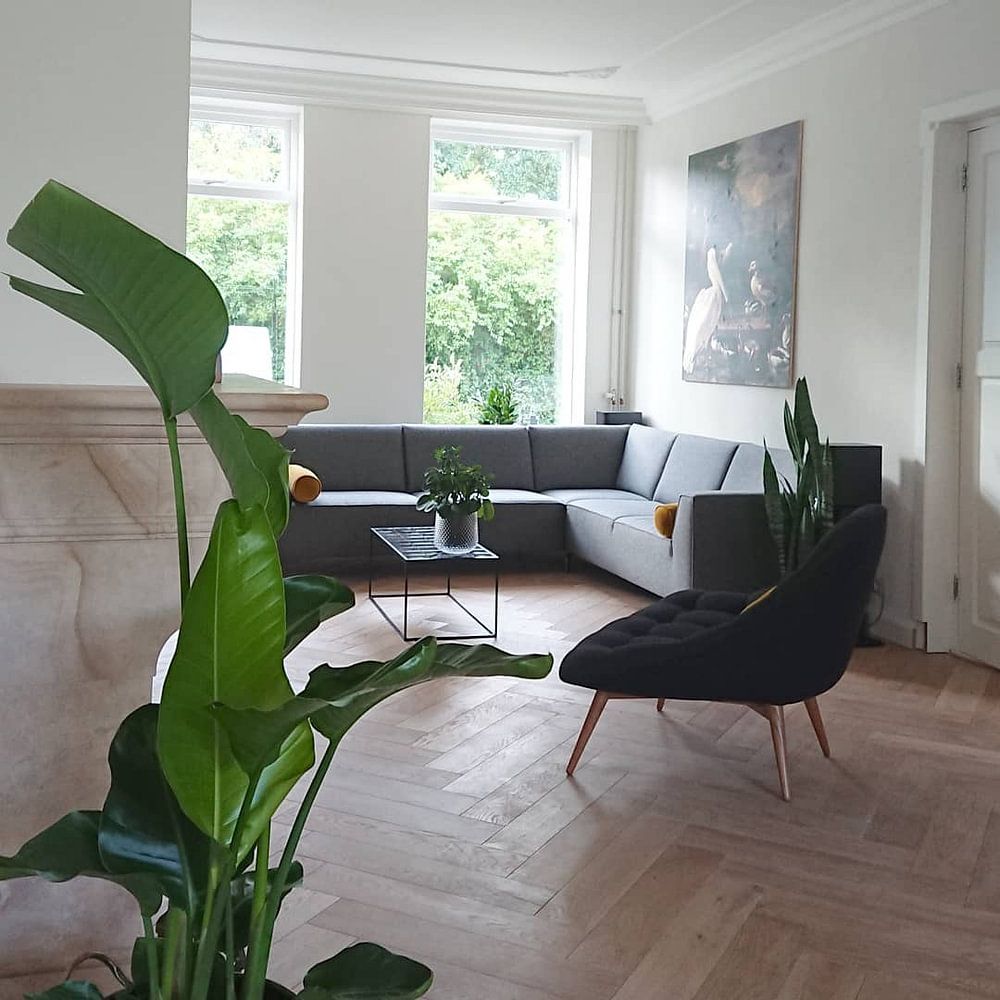 A pelican and other fowl near a water basin, 'The floating feather'