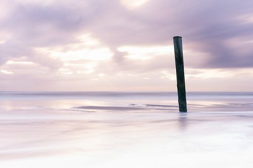 Serene setting Palendorp Petten