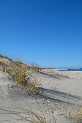 Duinlandschap met een vuurtoren aan de horizon