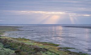 Sonnenharfen über dem Wattenmeer