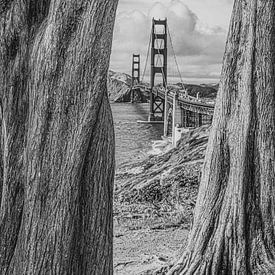 Golden Gate Bridge in Schwarz-Weiß von Bert Nijholt