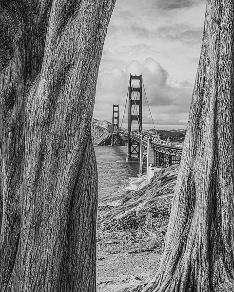Golden Gate Bridge in zwart/wit van Bert Nijholt