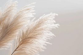 Pampas grass by Poster Art Shop