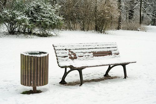 Banc de parc avec corbeille à papier dans un parc en hiver