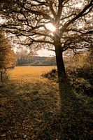 Warm Autumn feelings