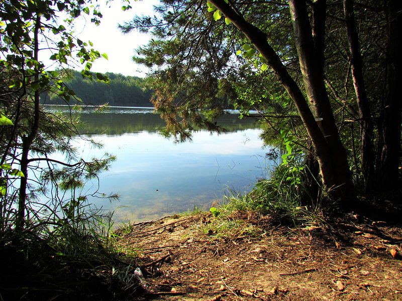 EDGE OF LAKE FOREST by Ivanovic Arndts