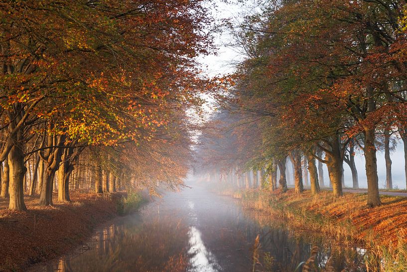 Foggy morning in Odoornerveen (Drenthe) by Miranda Heemskerk