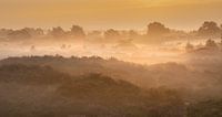 Drenthe Aekingerzand van Andy Luberti thumbnail