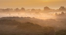 Drenthe Aekingerzand von Andy Luberti