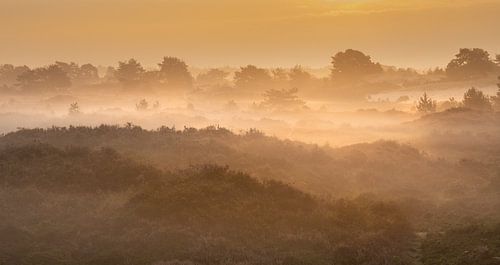 Drenthe Aekingerzand