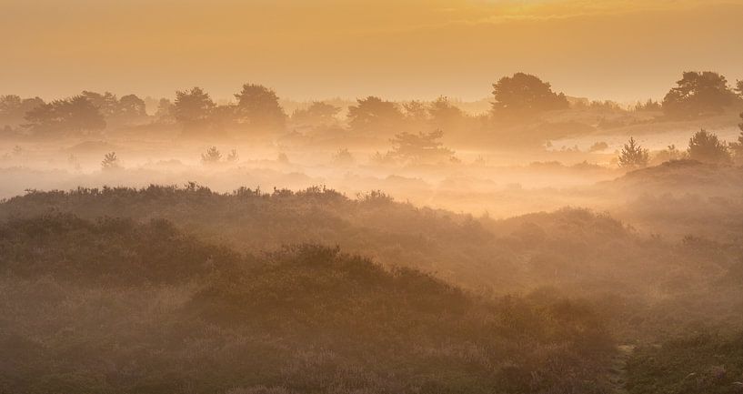 Drenthe Aekingerzand van Andy Luberti