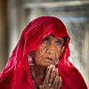 Vrouw bij rattentempel in Deshnok, India van Paula Romein