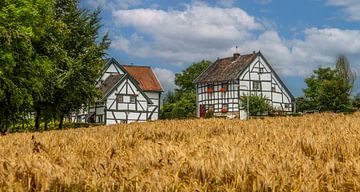 Vakwerkhuisjes en een korenveld in Zuid-Limburg van John Kreukniet