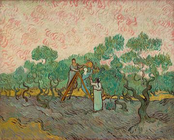 Vrouwen olijven plukken, Vincent van Gogh