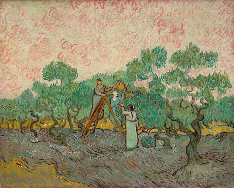 Women Picking Olives, Vincent van Gogh by Masterful Masters