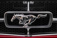 Logo Ford Mustang van Rob Smit thumbnail
