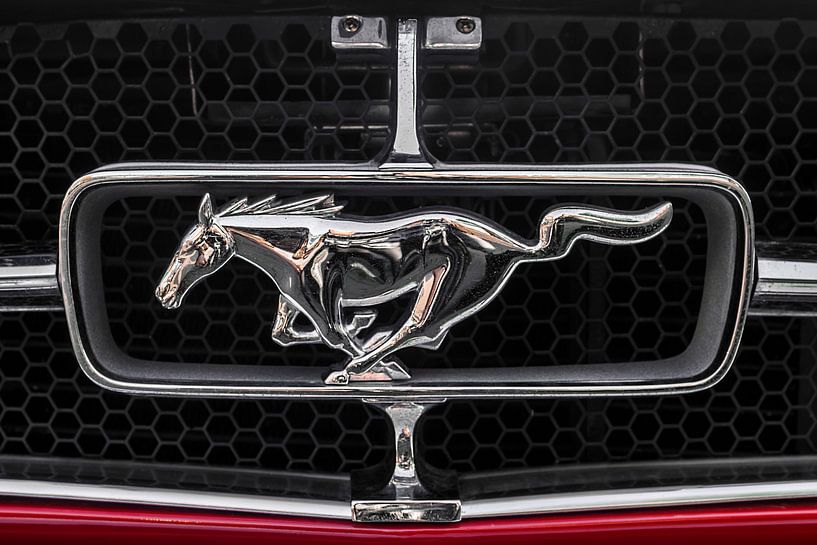 Logo Ford Mustang van Rob Smit