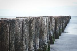 Kribben die in zee steken. Genomen in Zingst, aan de Darß. Het perspectief is gericht op de horizon van Martin Köbsch