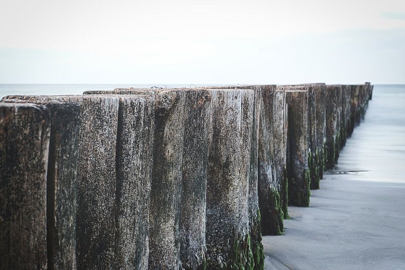 Kribben die in zee steken. Genomen in Zingst, aan de Darß. Het perspectief is gericht op de horizon van Martin Köbsch